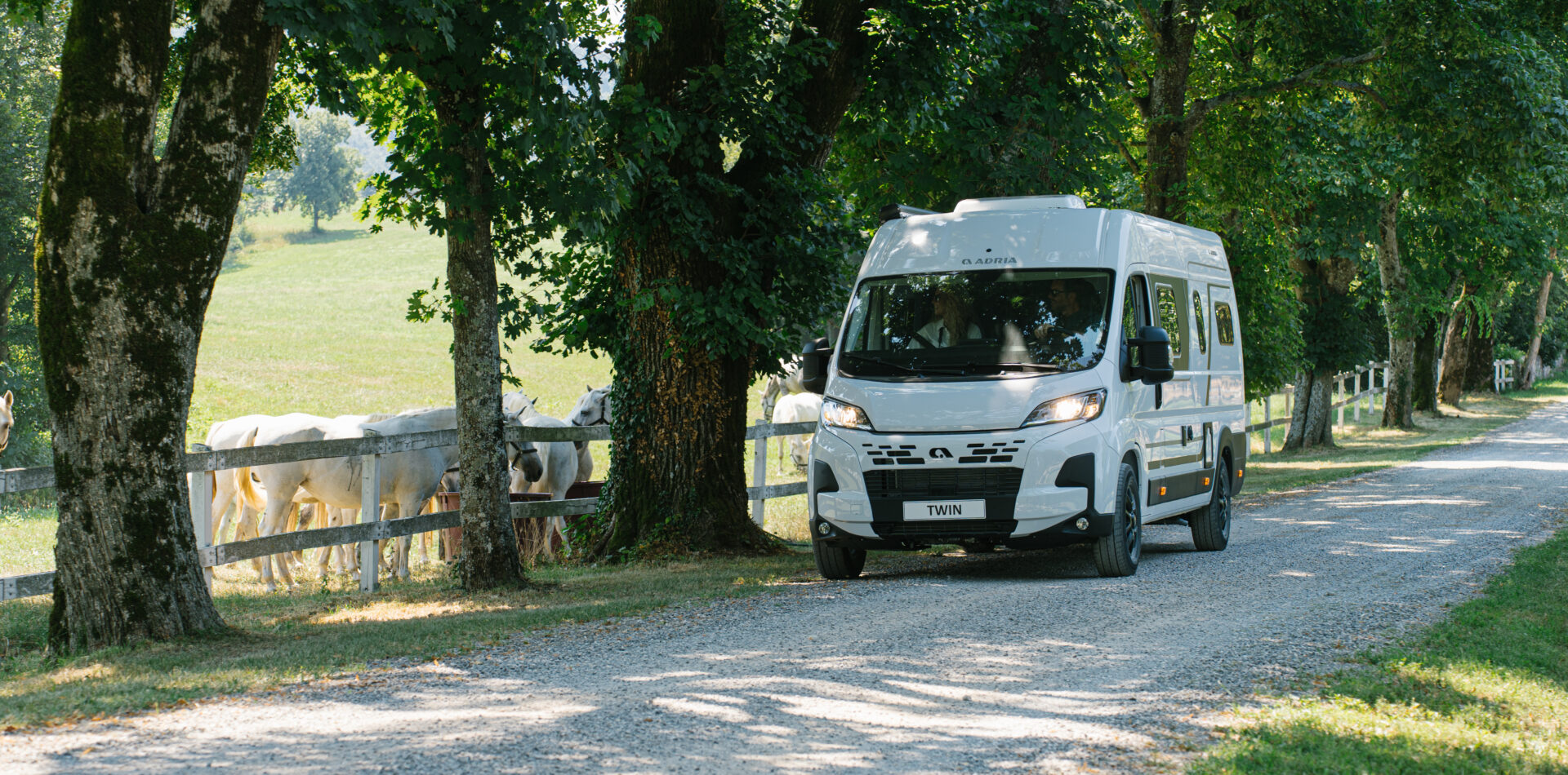 Adria Twin Campervan fährt auf einem Waldweg entlang einer Pferdekoppel