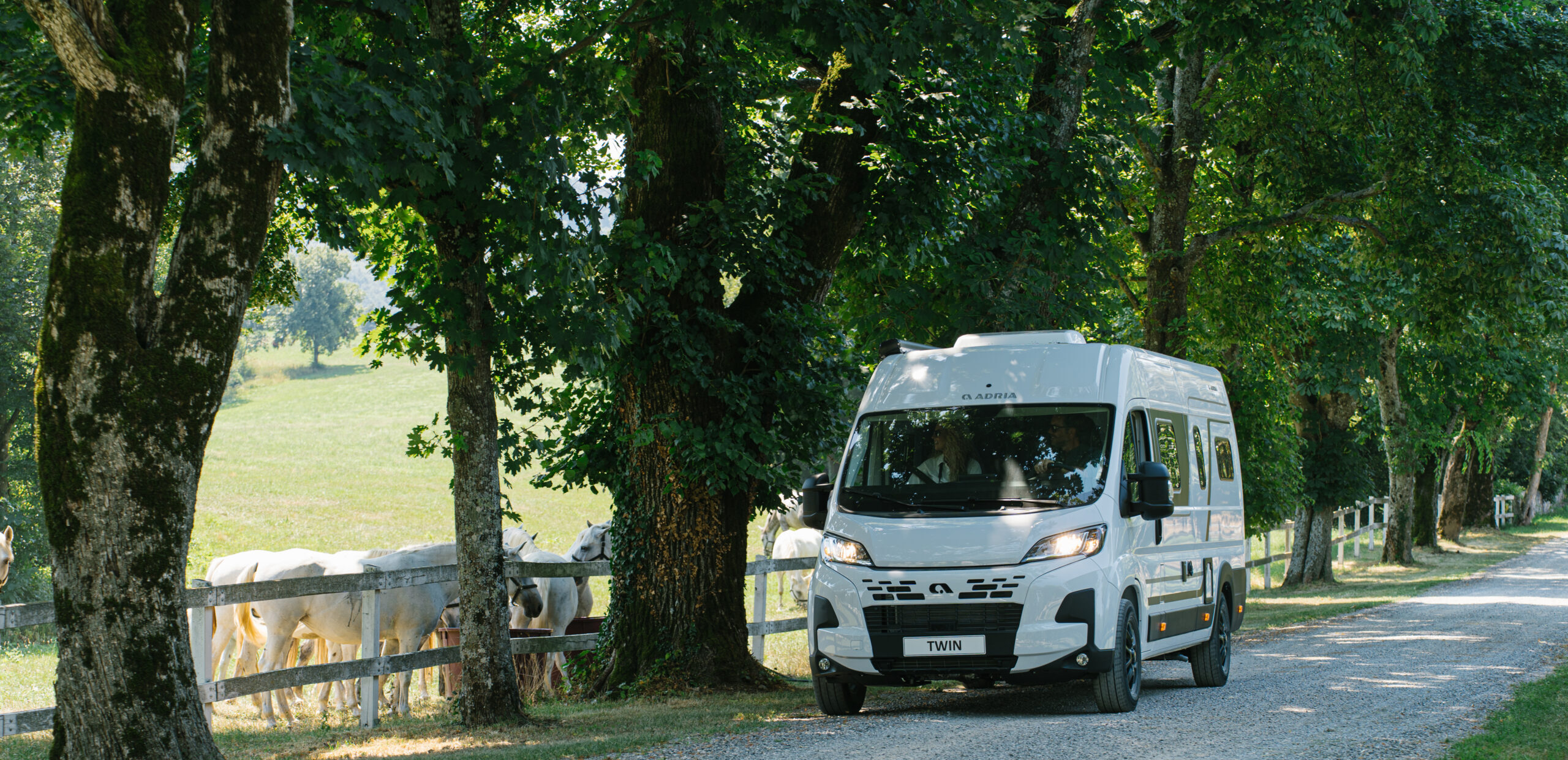 Adria Twin Campervan fährt auf einem Waldweg entlang einer Pferdekoppel